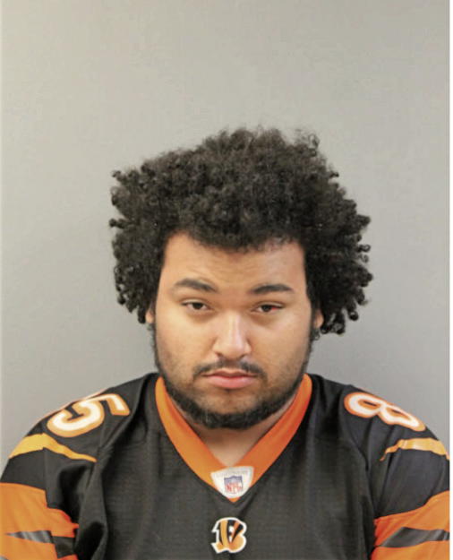 SERGIO HERMIDA, Cook County, Illinois