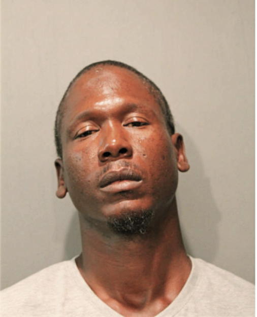 MICHAEL E HINES, Cook County, Illinois