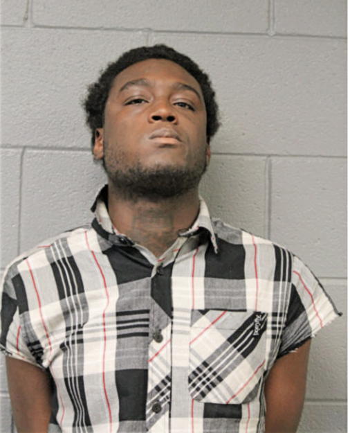 LDARIUS D JENKINS, Cook County, Illinois