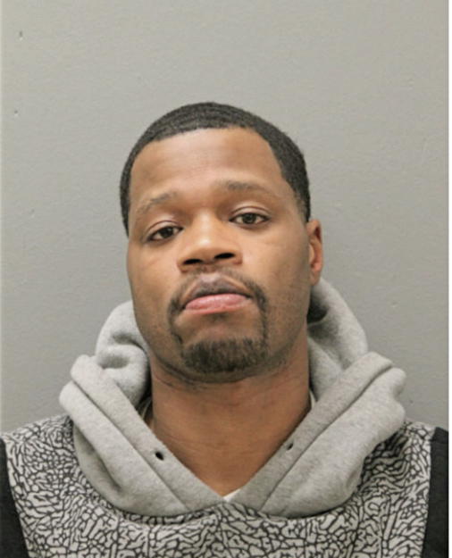 BRIAN P JOHNSON, Cook County, Illinois