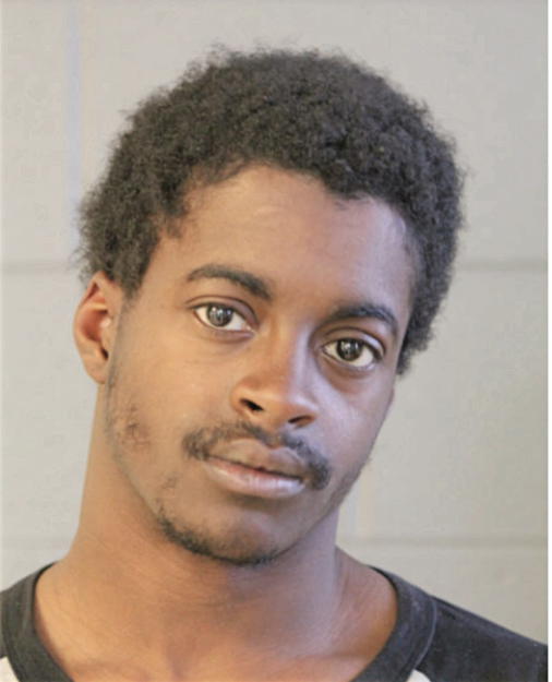 DAVID L KING, Cook County, Illinois