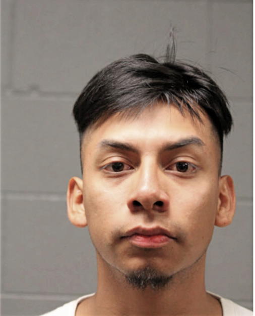 EDGARDO LANDEROS, Cook County, Illinois