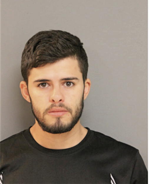JUAN L LOPEZ-OCAMPO, Cook County, Illinois