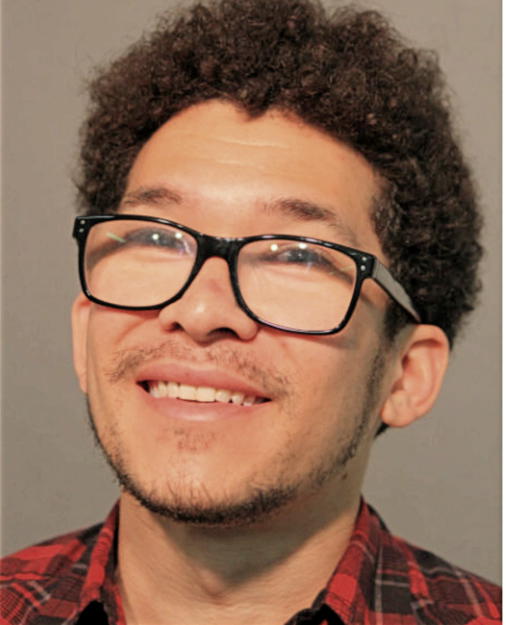FABRICE R LUBIN, Cook County, Illinois