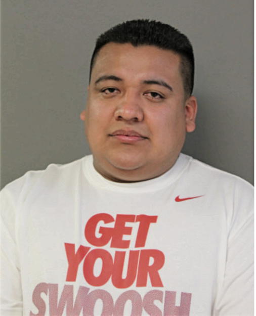 HECTOR MENDOZA-ANTONIO, Cook County, Illinois