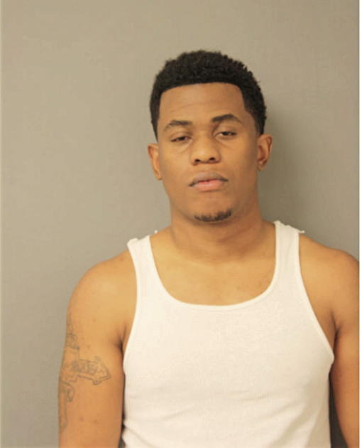 SEAN T MITCHELL, Cook County, Illinois