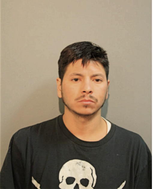 LUIS E MOTA, Cook County, Illinois