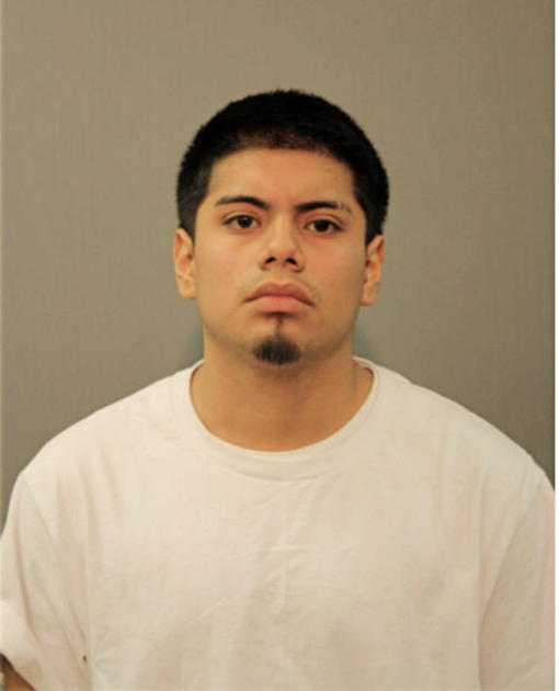 ALEJANDRO PERALTA, Cook County, Illinois