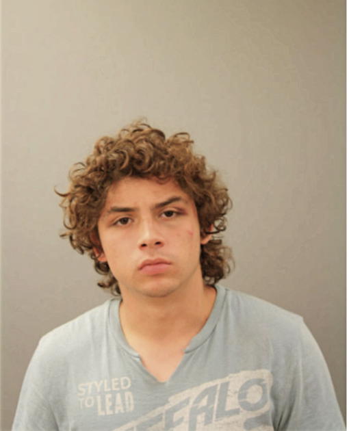 MICHAEL A PEREZ, Cook County, Illinois