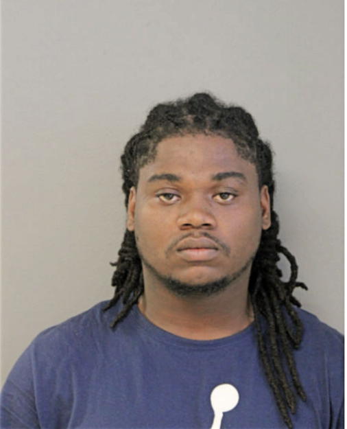 TERRENCE R POWELL, Cook County, Illinois