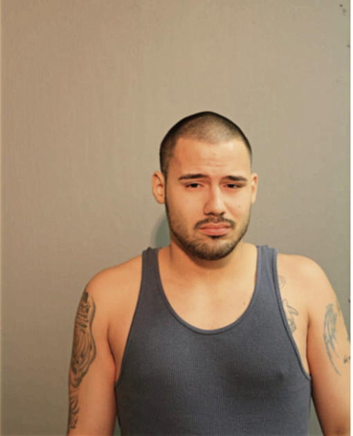 CARLOS E RODRIGUEZ, Cook County, Illinois