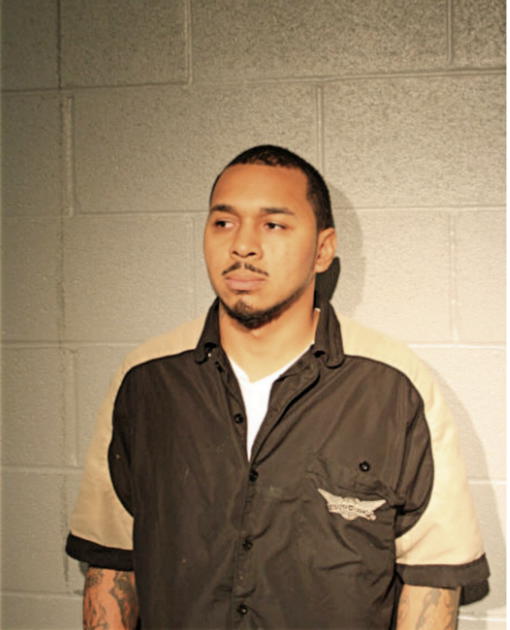 JULIAN C SHERMAN, Cook County, Illinois