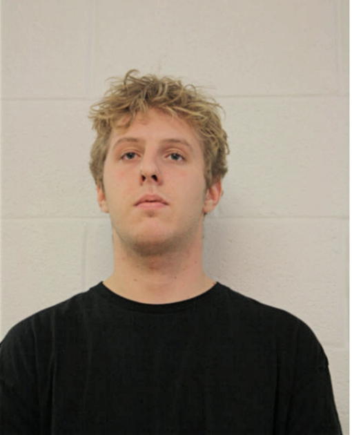 NICHOLAS M SPINA, Cook County, Illinois
