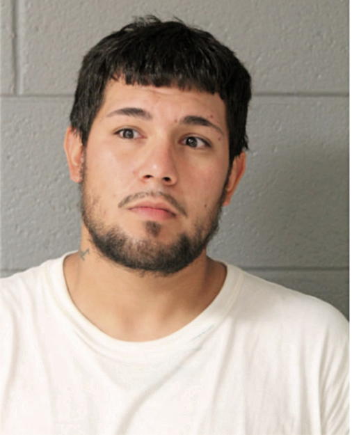 STEVO L STOJSAVLJEVIC, Cook County, Illinois