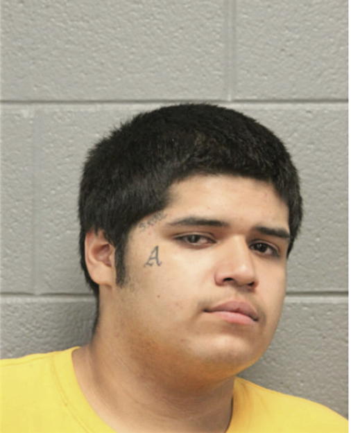 DIEGO VALLADARES, Cook County, Illinois