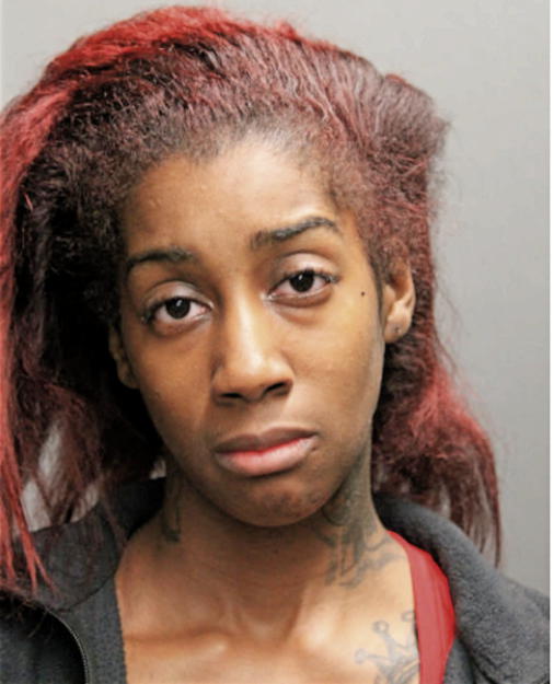 KESHARA L WEST, Cook County, Illinois