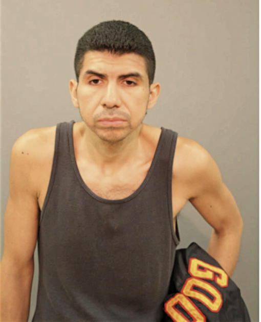 BYRON ALVARADO, Cook County, Illinois