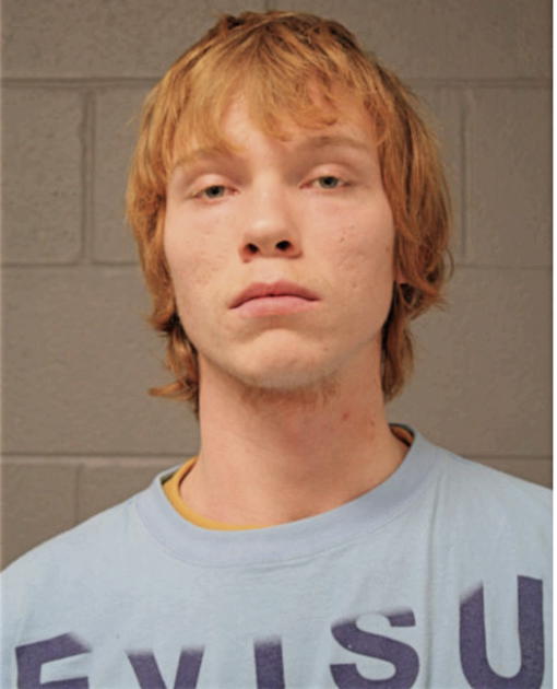 MATTHEW R BESINGER, Cook County, Illinois