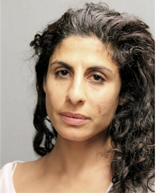 GRASEELLA G BOUSHEH, Cook County, Illinois
