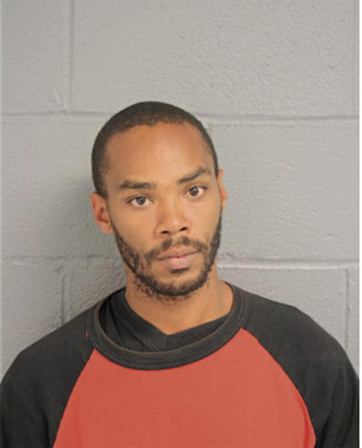 RYAN B CLEMONS, Cook County, Illinois