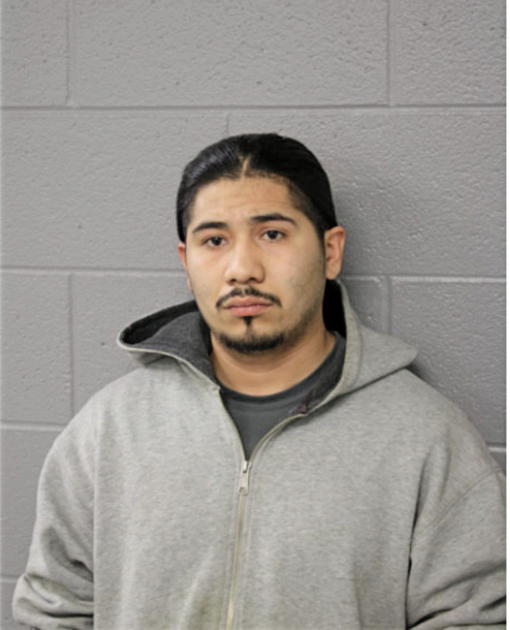 NICOLAS DIAZ, Cook County, Illinois