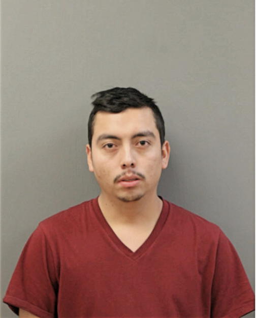 AGUSTIN FERNANDEZ, Cook County, Illinois