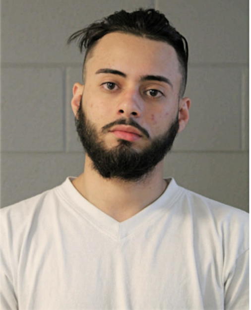 ANDRE W FRANZELL, Cook County, Illinois