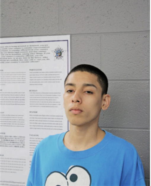JESUS GALLEGOS, Cook County, Illinois