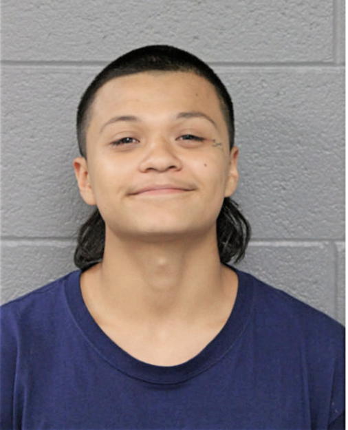 ELIAS HERNANDEZ, Cook County, Illinois