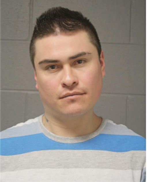 SALVADOR MANCANARES, Cook County, Illinois