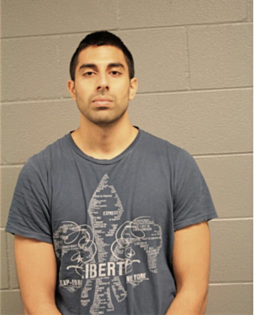 RAVINDER S NAROO, Cook County, Illinois