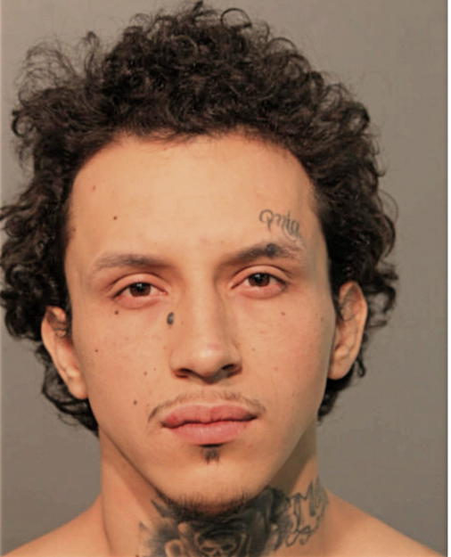 ERICK OLEAS, Cook County, Illinois