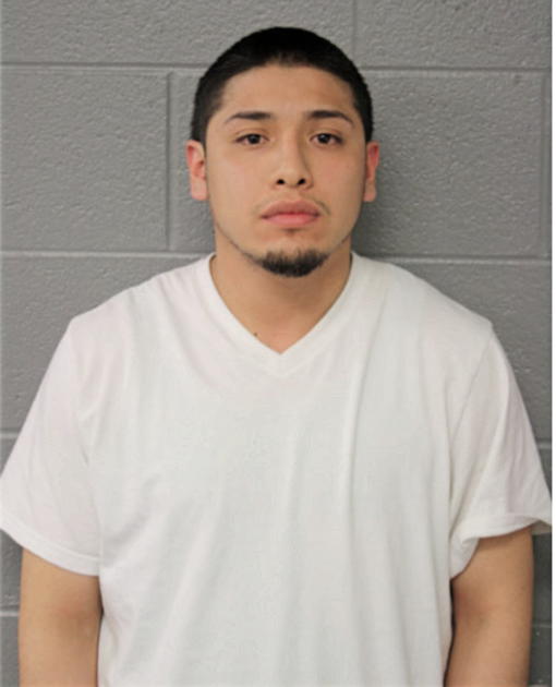 ANGEL M RANGEL, Cook County, Illinois