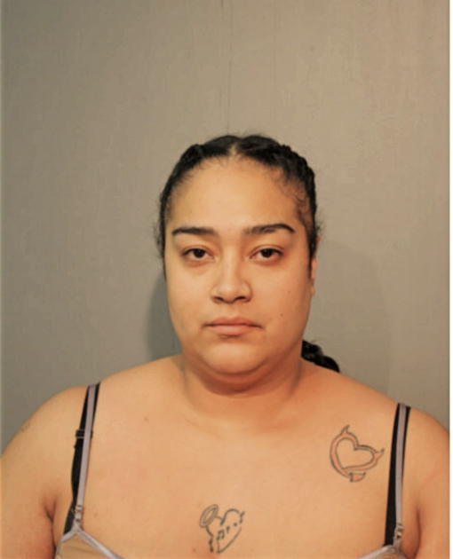 MINERVA V RIVERA, Cook County, Illinois