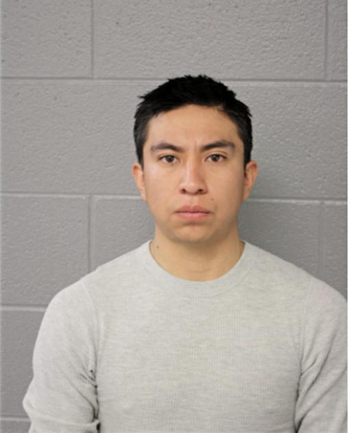 SAUL DEL TELAPA, Cook County, Illinois
