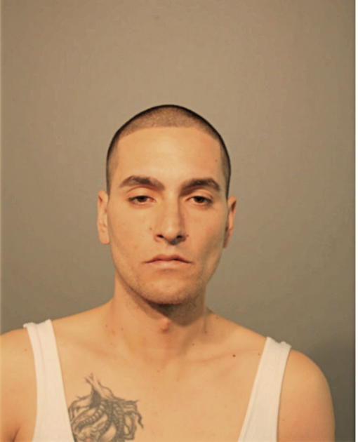JOSE VEGA-MELENDEZ, Cook County, Illinois