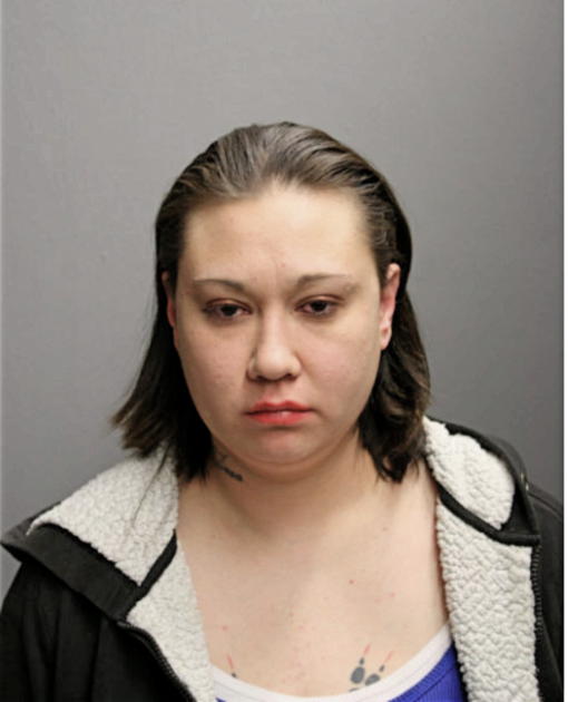 HEATHER M WANGERIN, Cook County, Illinois