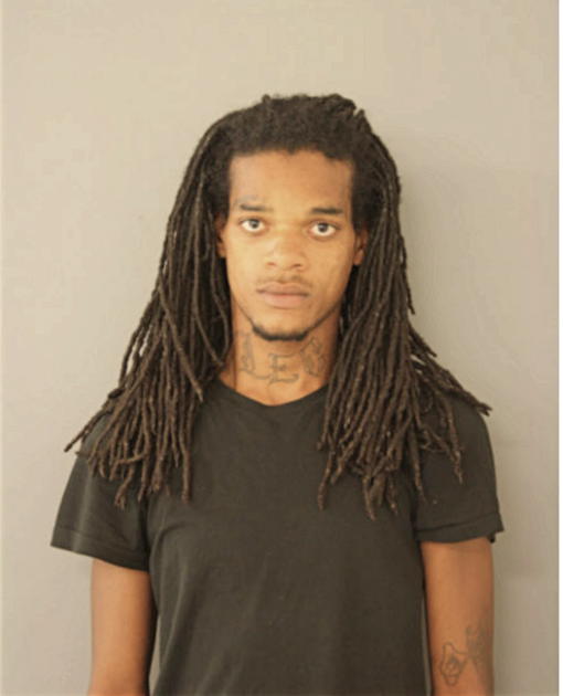 QEWANE R WATKINS, Cook County, Illinois