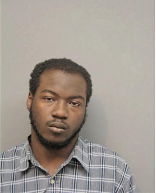ERIC J YOUNG, Cook County, Illinois