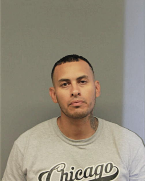 FABIAN E CAMPOS, Cook County, Illinois