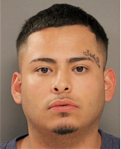 FRANK N CANO, Cook County, Illinois
