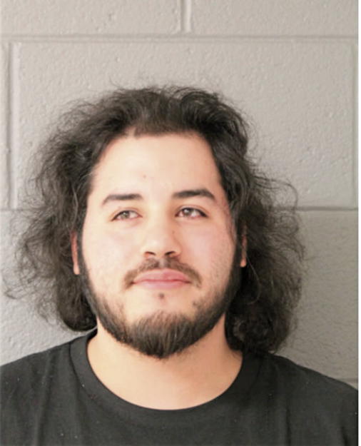 WILLIAM J DIAZ, Cook County, Illinois