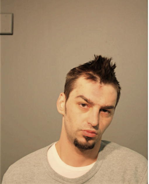 MANUEL FLORIN DRAGAN, Cook County, Illinois