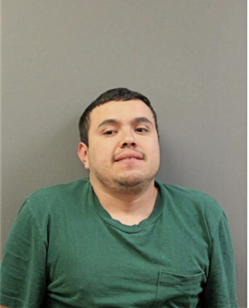 MARCO FLORES, Cook County, Illinois