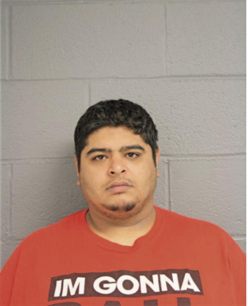 ALI J GAITH, Cook County, Illinois