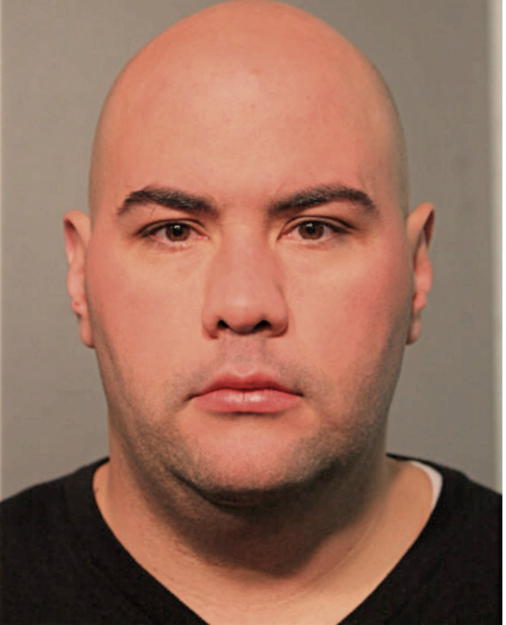 DANIEL E GRUNAUER, Cook County, Illinois