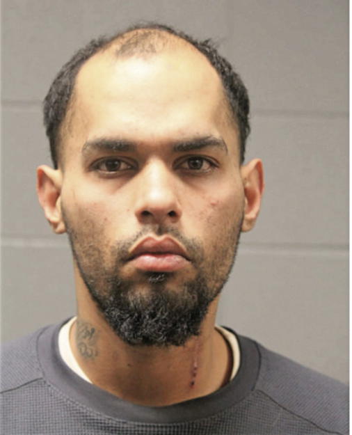 WESLLEY D HERNANDEZ-DELGADO, Cook County, Illinois