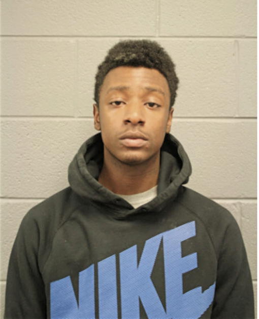CHRISTIAN J HOLT, Cook County, Illinois