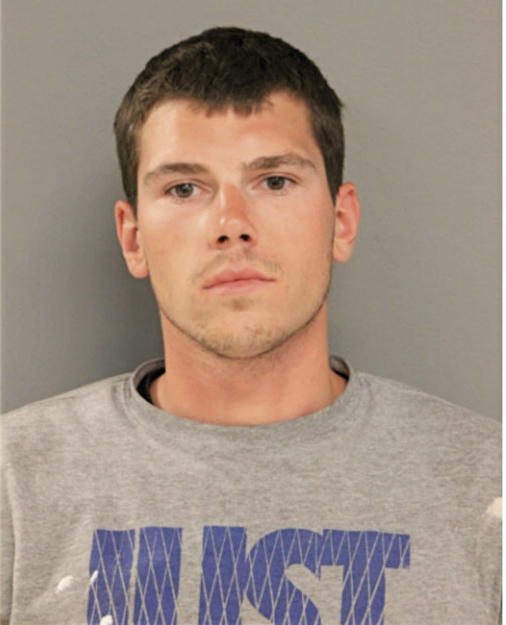 JAMES PATRICK LAMB, Cook County, Illinois