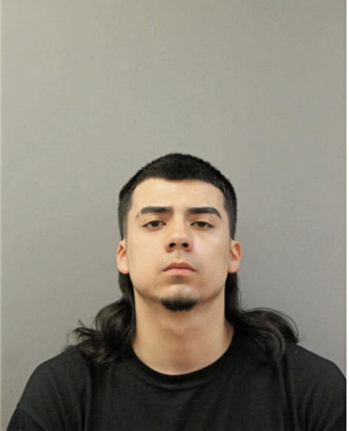 JULIUS LANDEROS, Cook County, Illinois